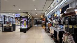 Lucky Plaza (D9), Retail #487317611